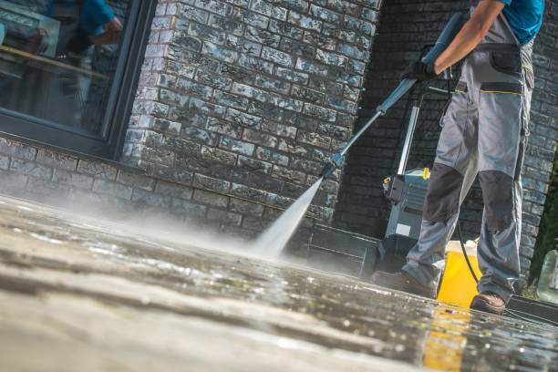 Trusted Mayville, NY Pressure Washing Services Experts